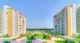 Vatika Jaipur 21