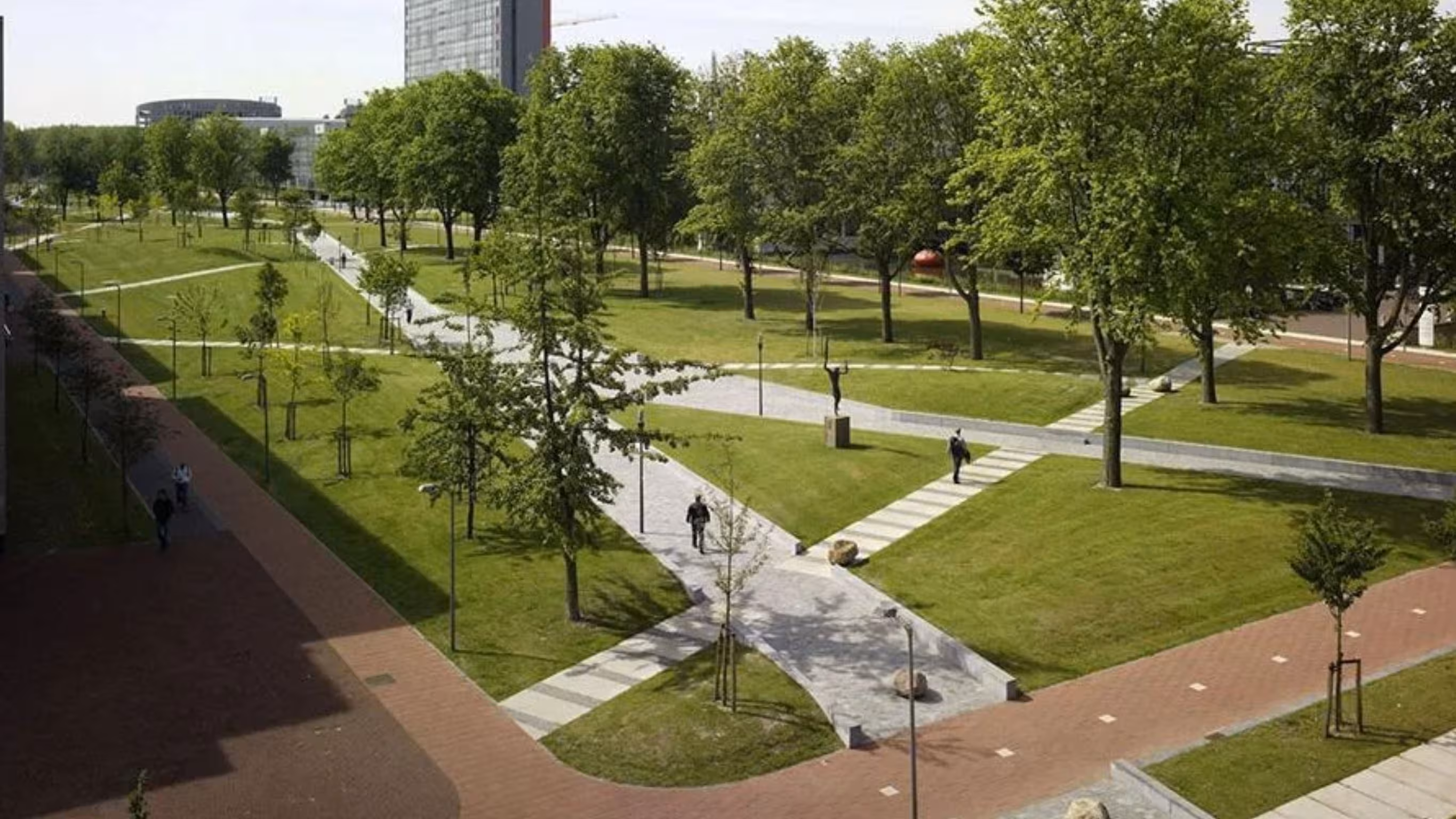 Noble Aurellia