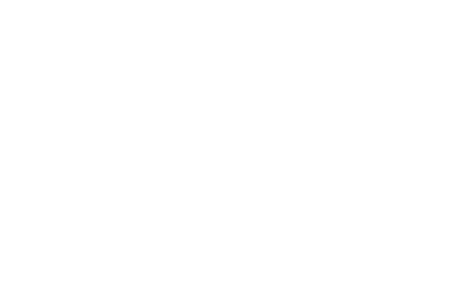 Aura The Aerth logo
